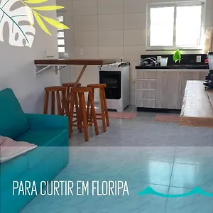 https://flat-kaki-novo-campeche.santa-catarina-brasil.com